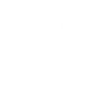 Professional Genius company logo on transparent background - Newman Growth client